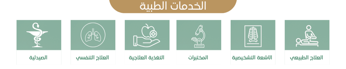 الخدمات الطبية