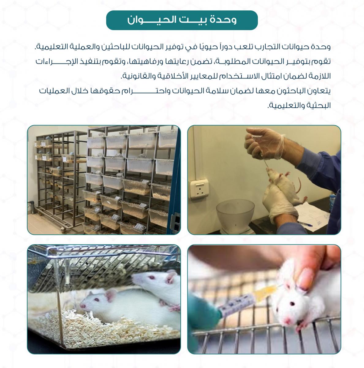 وحدة بيت الحيوان