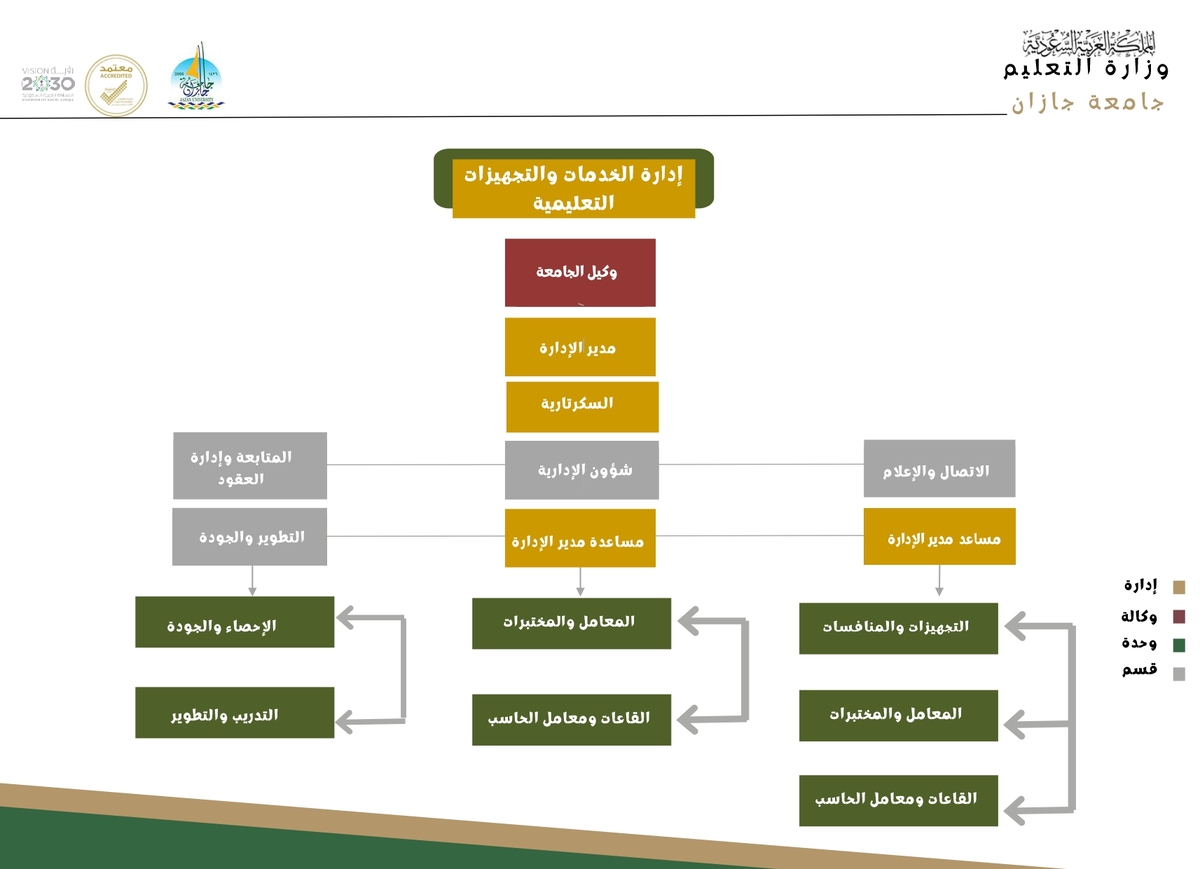 Organizational Structure